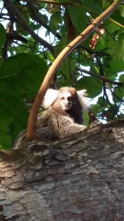 Pousada Caju Verde São Miguel do Gostoso Zewnętrze zdjęcie